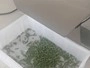 Cortadora de verduras multifuncional (doble cabezal), DQC101