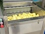 Máquina peladora de cepillo