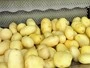 Máquina peladora de cepillo