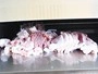 Cortadora de carne fresca (tres grosores)