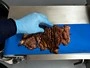 Rebanadora de carne cocida